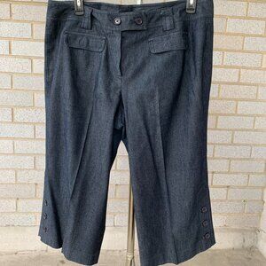 SANDRO POLISHED DENIM WOMAN GRAY CAPRI PANTS SIZE 16W TWO FRONT POCKETS